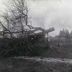Arbres coupes mai 1917 château des templiers (disparu) Verpillières (…)