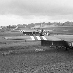 Horsa gliders of 6th Airlanding Brigade, 6th Airborne Division, on DZ (…)