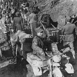 Kettenkrad. in the Caucasus 1942