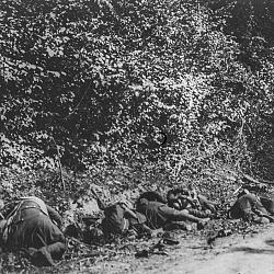 Cadavres de soldats du 5e régiment de tirailleurs sur la route de la ferme (…)