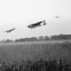 Hamilcar gliders of 6th Airlanding Brigade arrive on DZ 'N' (…)
