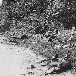 Cadavres de soldats du 5e régiment de tirailleurs sur la route en direction (…)