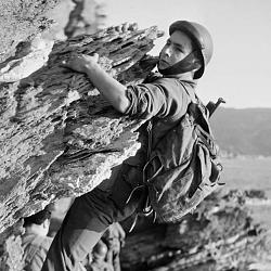 ecpad_commando_8509512_2_1_edited.jpg