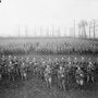 Cassel, 25 avril 1918 - 1st Battalion, Middlesex Regiment (98th Infantry (…)