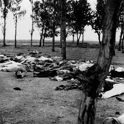 Cadavres d'Arméniens en 1915, près d'Angora (Ankara). Photo prise (…)