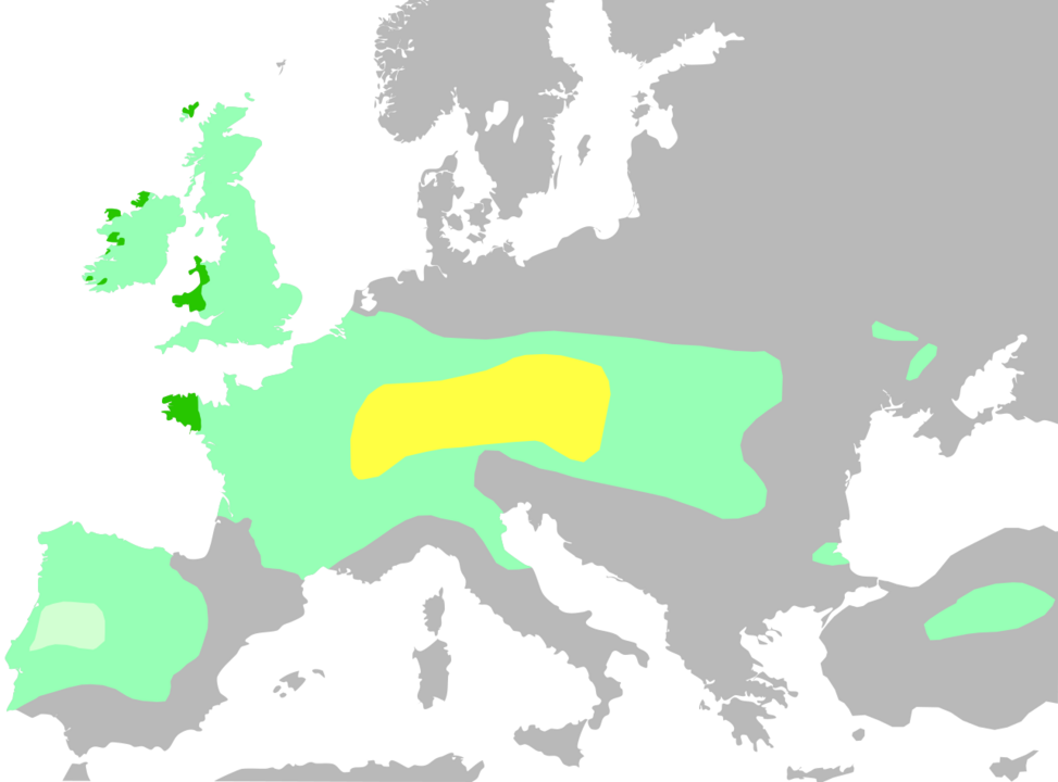 L'expansion Celtes en Europe